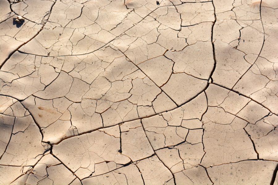 IASLA Arido, progetti e azioni per paesaggi lungimiranti